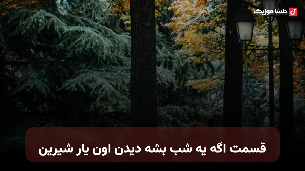 قسمت اگه یه شب بشه دیدن اون یار شیرین صدای زن
